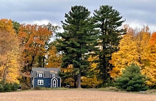 Shell Lake Cabin | Cottage- Shell Lake on Little Long Lake
