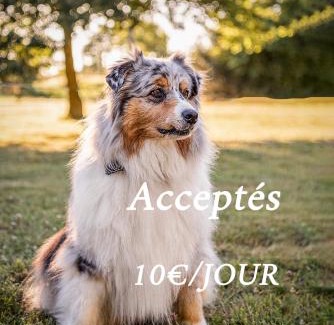 Arthon-en-Retz House | Cottage tout confort neuf au calme 6p WiFi