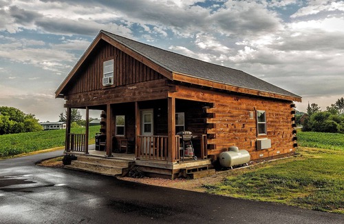 Marshland Cabin | Country Cabin Guest House