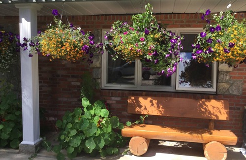 Valemount Cabin | Country Comfort! Rustic Lodge - spacious and well equipped !