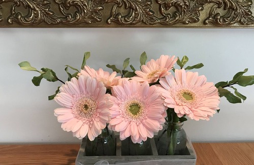 Wairakei Cottage | Country Cottage Taupo