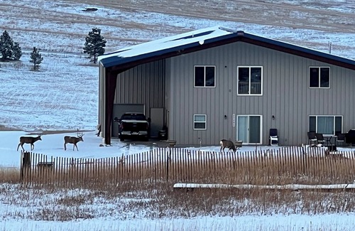 Larkspur House | Country home on scenic, quiet acreage near Monument. Convenient to interstate.