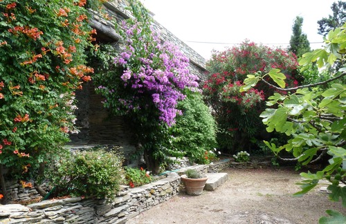 Morsiglia House | Country house for rent Morsiglia Cap Corse sleeps 10