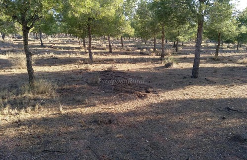 Villena House | Country House 'Miramontes' with Mountain View, Private Terrace and Air Conditioning