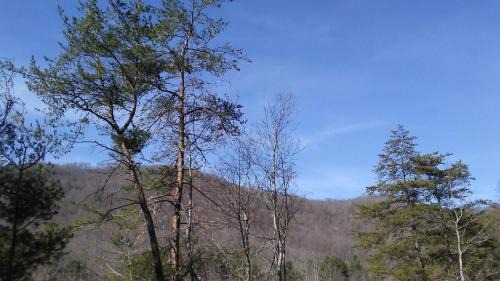 Asheville House | Country Log Cabin-15 min to Asheville
