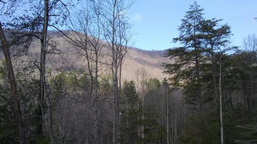 Asheville House | Country Log Cabin-15 min to Asheville