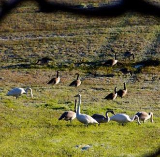 Borlange Apartment | Country Penthouse