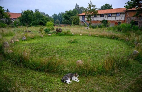 Steinreich Apartment | Country vacation - Sauna - Wellness - Holiday apartment Frida von D.