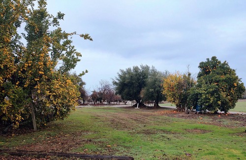 Raisin House | Countryside Clovis