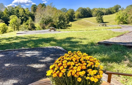 Marshall RV Rental | Couples Glamping Tent Near the Buffalo River