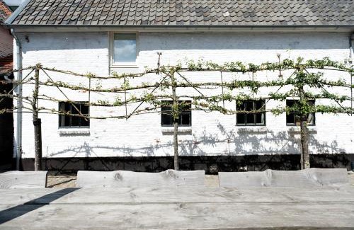 Maastricht House | Cour 8 Lofts