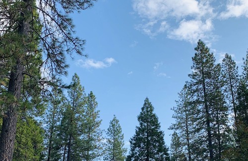 Shasta County House | Cove Woods - a remote farm/vineyard/forest getaway