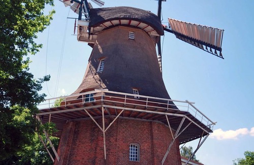 Uplengen Other | Cow Room - B&B Betsies Place 35664