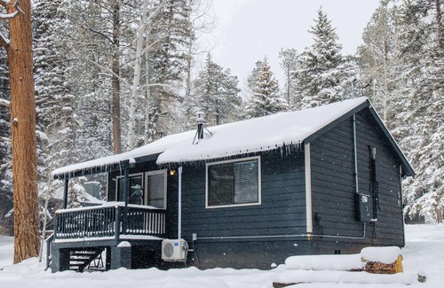Greer Cabin | Cowgirl Cabin (Aspen 3)