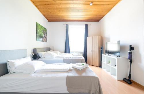 Leoben Apartment | COY Apartments Leoben - Stay Comfortable & Work Smart