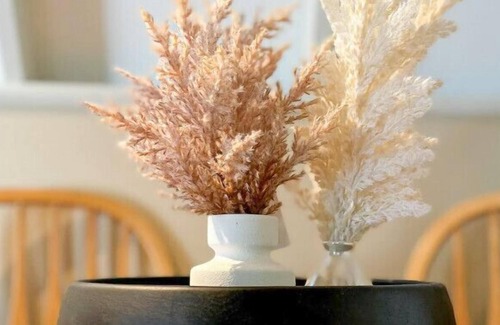 Intervale Ski Chalet | Cozy 1 Bed Chalet w/ King bed & indoor fireplace<3