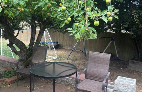 Edmonds Apartment | Cozy 1-bedroom apartment in nice Edmonds with AC and heat