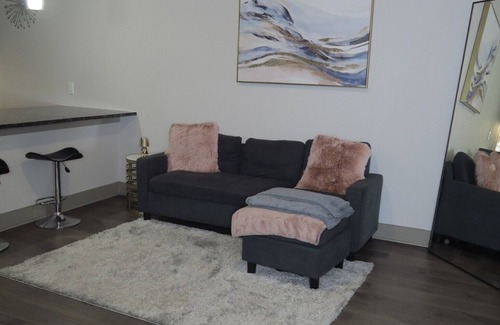 East Downtown Houston Apartment | Cozy 1-bedroom apartment in beautiful Downtown Houston with WiFi,