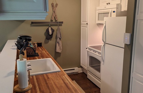 Nellysford Condo | Cozy 1 Bedroom Condo Off 12th Hole at Devil's Knob Golf Course