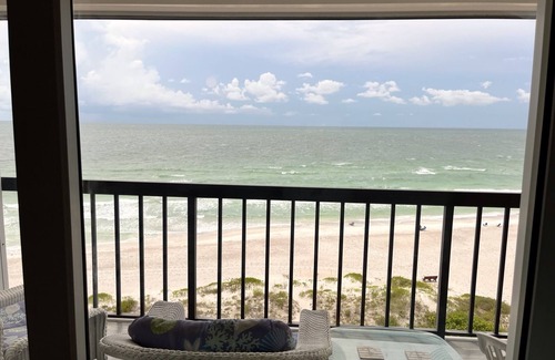Indian Shores Condo | Cozy 1-bedroom oceanfront condo in delightful Indian Shores Florida