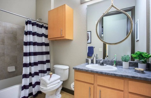 University Apartment | Cozy 1-bedroom with AC, WiFi in enjoyable Tampa
