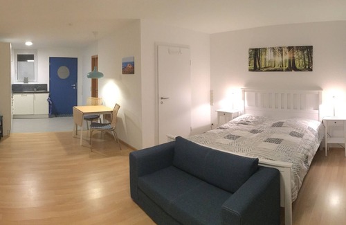 Albstadt Apartment | Cozy 1 room apartment at the eaves