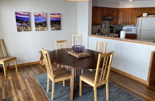 Nellysford Condo | Cozy 2-bedroom condo with stunning views of lovely Wintergreen WiFi, AC