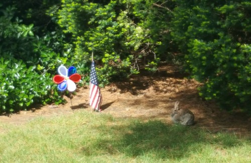 North Cape May Cottage | Cozy 2 Bedroom Cottage Close to Bay Beach