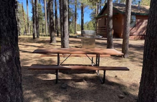 Heber House | Cozy 2 Bedroom Cabin #3