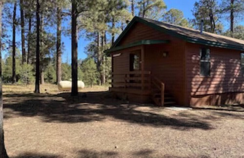 Heber House | Cozy 2 Bedroom Cabin #3