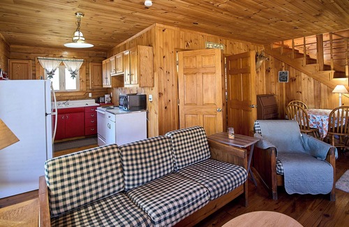 Statts Mills Cabin | Cozy 2-bedroom cabin in charming Statts Mills with AC