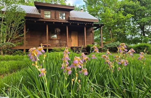 New Concord Cabin | Cozy 2-bedroom cabin within National Park with stunning lake view!
