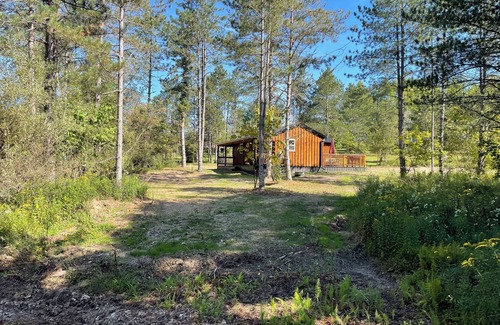 Benezette Cabin | Cozy 2-bedroom cabin in charming Benezette, just 1 mile from visitors center.