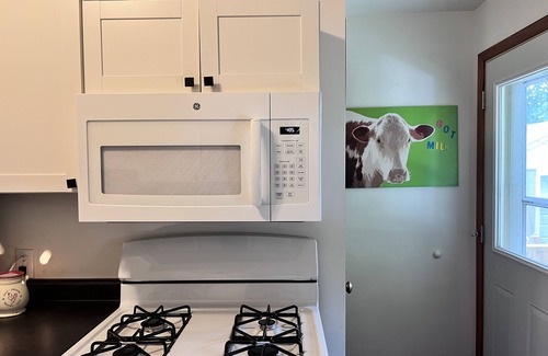 Red Wing House | Cozy 2 Bedroom close to Cannon Valley Trail