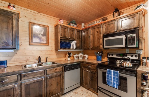 Jasper Cabin | Cozy 2-BR cabin in the beautiful Arkansas forest!