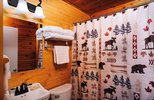 Lake Placid Cabin | Cozy 2BR Cabin with Full Kitchen, outdoor BBQs, campfire pits, and more!
