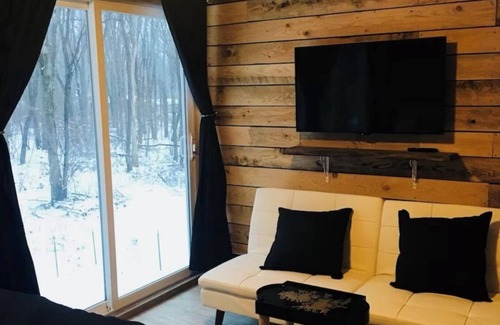 Champion Cabin | Cozy 4-bedroom cabin in 7 springs w/hot tub for winter and pool in summer