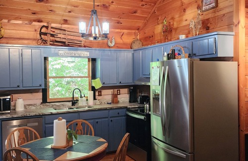 Blue Ridge Cabin | Cozy and Pet friendly 2-bedroom cabin in tranquil Blue Ridge