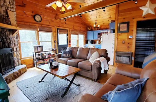 Blue Ridge Cabin | Cozy and Pet friendly 2-bedroom cabin in tranquil Blue Ridge