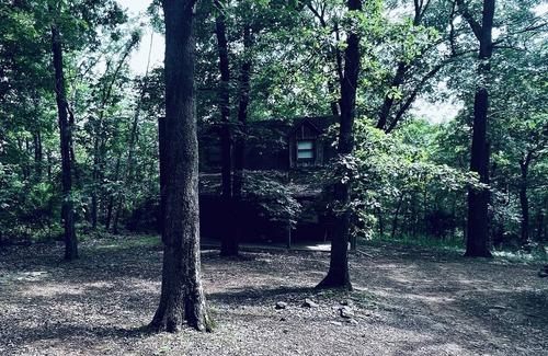 Carrollton Township Cabin | Cozy and Quiet Cabin in the Woods