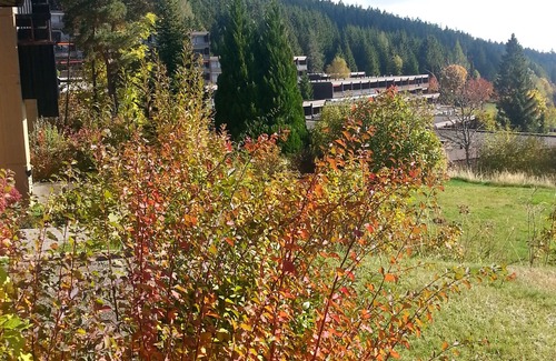 Schonach im Schwarzwald Apartment | Cozy apartment with a great view from the terrace over the countryside