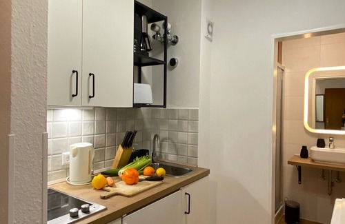 Stuhlinger Apartment | Cozy apartment Vauban Freiburg - Apartment with balcony Vauban Freiburg