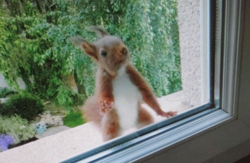 Andrezieux-Boutheon Apartment | Cozy apartment in Andrézieux-Bouthéon with private entrance