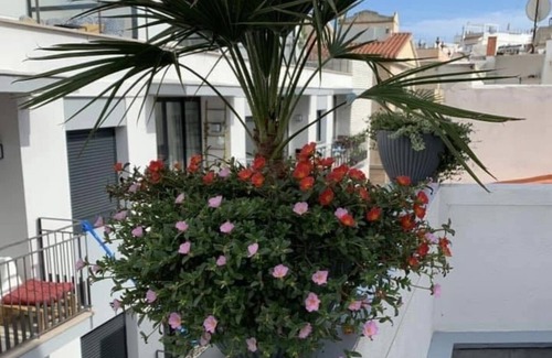 Sitges Town Center Apartment | Cozy apartment in the center of Sitges