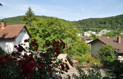Neckargemuend Apartment | Cozy apartment with a private terrace near the forest near Heidelberg