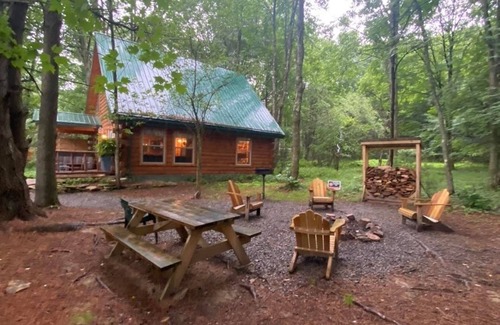 Leeper Cabin | Cozy Bear Log Cabin near Cook Forest State Park
