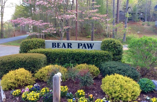 Unaka House | Cozy Bear Paw Mountain Retreat