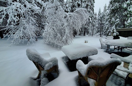 Glencoe Cabin | Cozy Cabin 40 mins to Kirkwood, 15 to Wineries, 5 to shopping, 1 mile off hwy88.