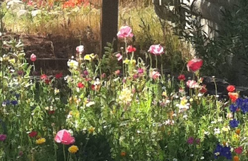 West Yellowstone Cabin | Cozy cabin a minute from Yellowstone. Book now for your Winter Wonderland stay!