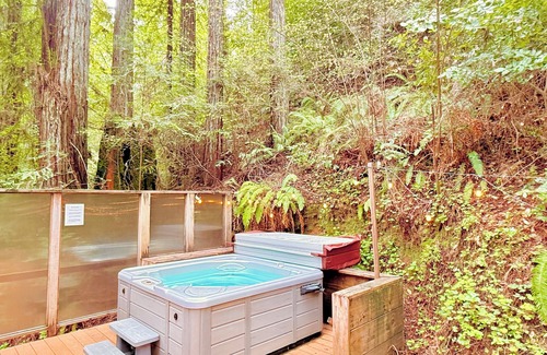 Guerneville House | Cozy cabin deep in the redwoods/WiFi & Hot Tub